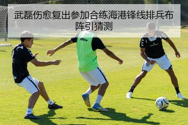 武磊伤愈复出参加合练海港锋线排兵布阵引猜测